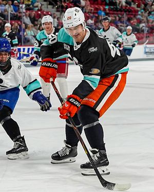 Image post by @anaheimducks on Instagram