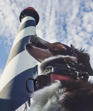 Image post by @stauglighthouse on Instagram