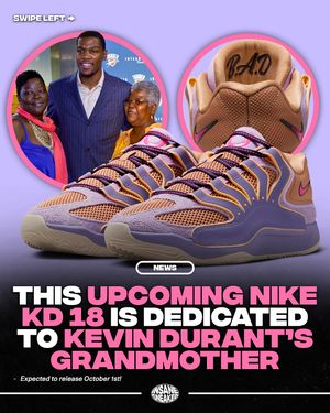 Image post by @insanesneaker on Instagram