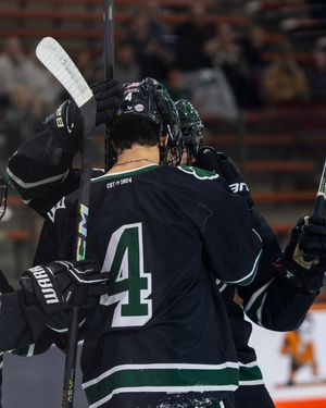 Image post by @ohiohockeyd2 on Instagram