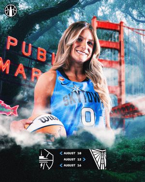 Image post by @chicagosky on Twitter