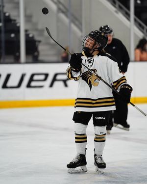 Image post by @lu_whockey on Instagram