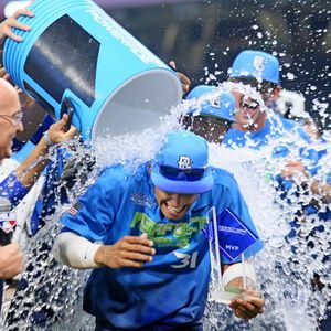 Image post by @pgallamerican on Instagram