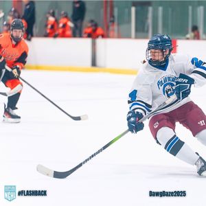 Image post by @nghlhockey on Instagram