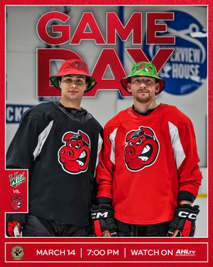 Image post by @rockfordicehogs on Instagram