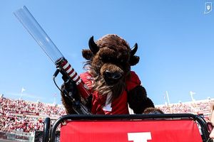 Image post by @hoosierthebison on Instagram