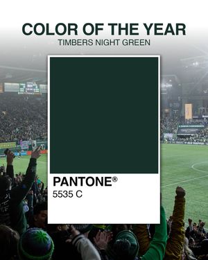 Image post by @timbersfc on Instagram