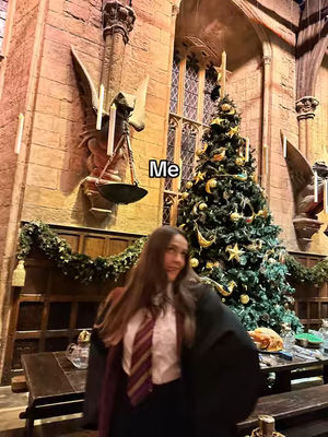 Image post by @melmadog on TikTok