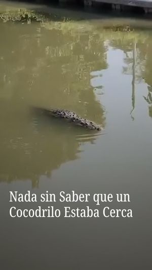Image post by @nmasunivision on Instagram