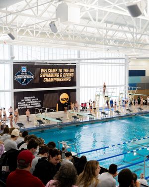 Image post by @ncaadii on Instagram