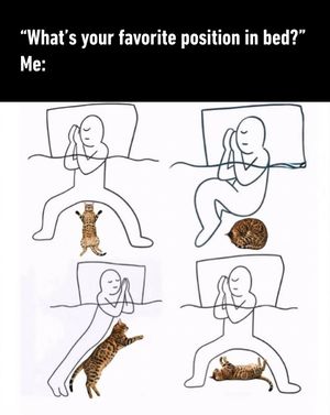 Image post by @9gag on Instagram