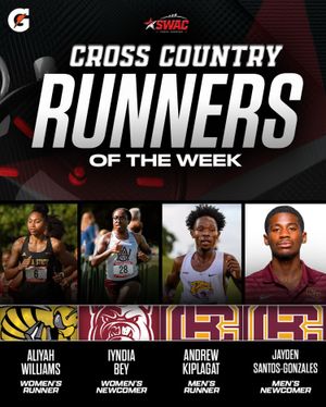 Image post by @theswac on Instagram