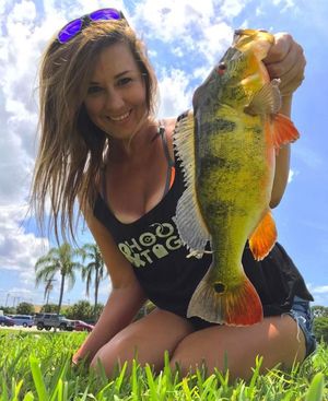 Image post by @soulfishingash on Instagram