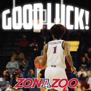Image post by @zonazooofficial on Instagram