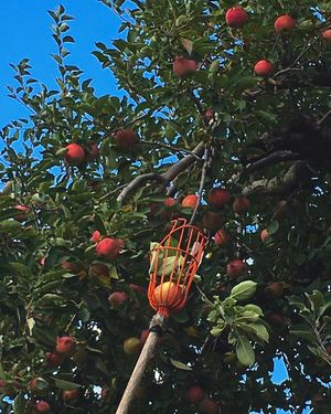 Image post by @sarahdingle.c0m on Instagram