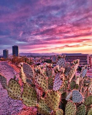 Image post by @Tempegov on Twitter