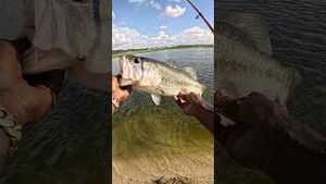 Video post by @hoodfishingentertainment on YouTube
