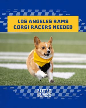 Image post by @littlestumpsracing on Instagram