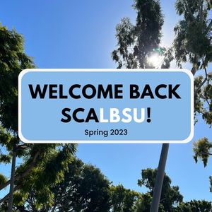 Image post by @scalbsu on Instagram