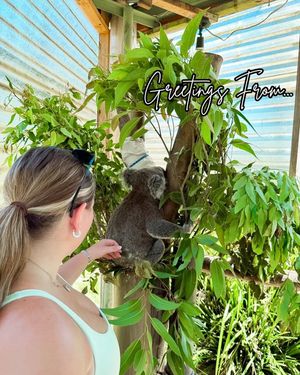 Image post by @uidm on Instagram