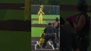 Video post by @thesavannahbananas on YouTube