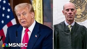 Video post by @msnbc on YouTube