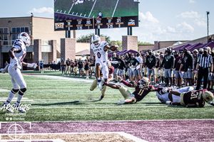 Image post by @atBirdsUp on Twitter