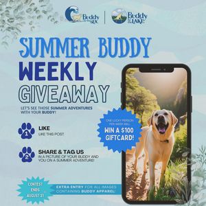 Image post by @shop_buddybythesea on Instagram