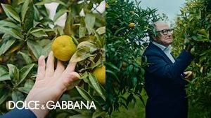 Video post by @dolcegabbana on YouTube