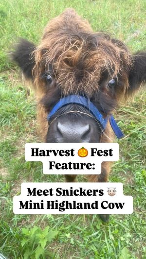 Video post by @Elizabethtown Farmer's Market on Facebook