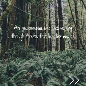 Image post by @leafyaffair on Instagram