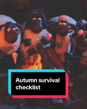 Image post by @shaunthesheepofficial on TikTok