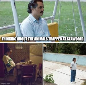 Image post by @peta on Instagram