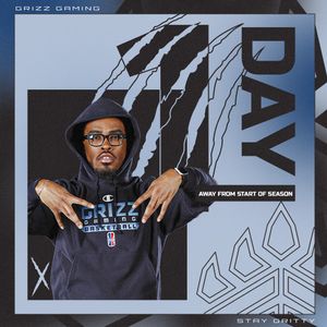 Image post by @grizzgaming on Instagram