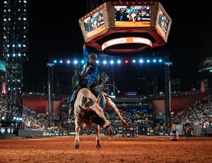 Image post by @pbrbrazil on Instagram