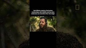 Video post by @deadline on YouTube