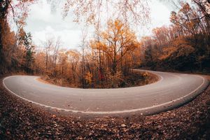 Image post by @chandlerwebercreative on Instagram