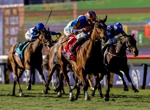 Image post by @breederscup on Instagram