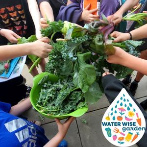 Image post by @kidsgardening on Instagram