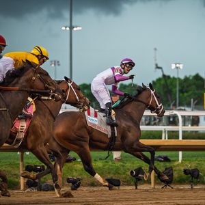 Image post by @spendthriftfarm on Instagram