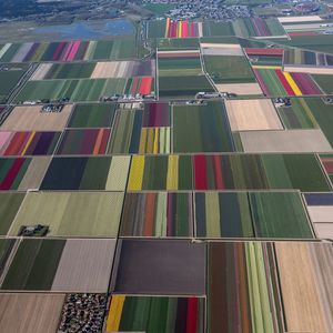 Image post by @natgeo on Instagram