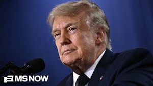 Video post by @msnbc on YouTube