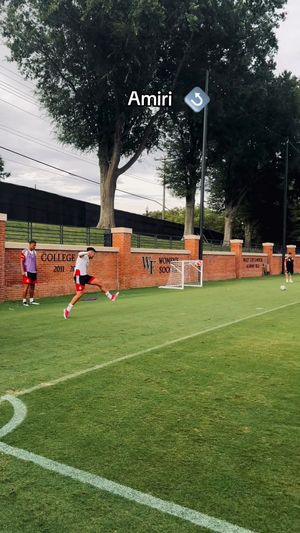 Video post by @dfb on TikTok