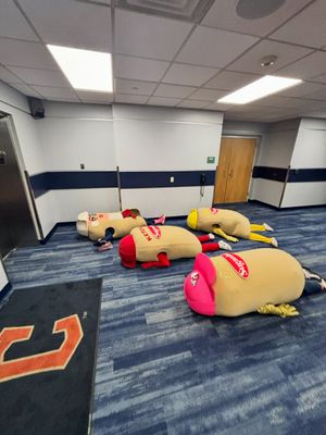 Image post by @clehotdogs on Instagram