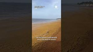 Video post by @accuweather on YouTube