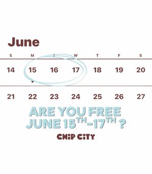 Image post by @chipcitycookies on Instagram