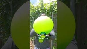 Video post by @kiwico on YouTube