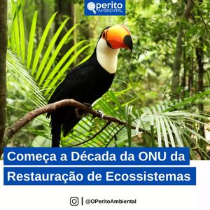 Image post by @operitoambiental on Instagram