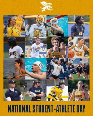 Image post by @gogriffs on Instagram