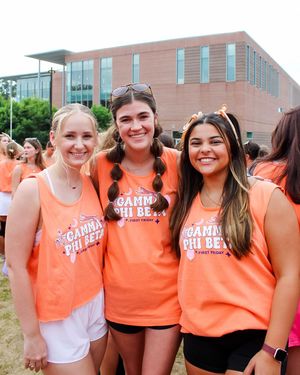 Image post by @clemsongammaphi on Instagram